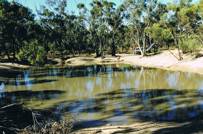 Totadgin Dam