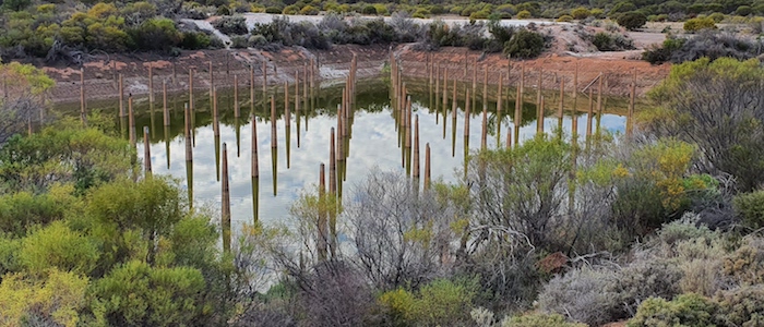 Concrete uprights in the reservoir at Cardunia once supported a corrugated iron roof that reduce evaporation.