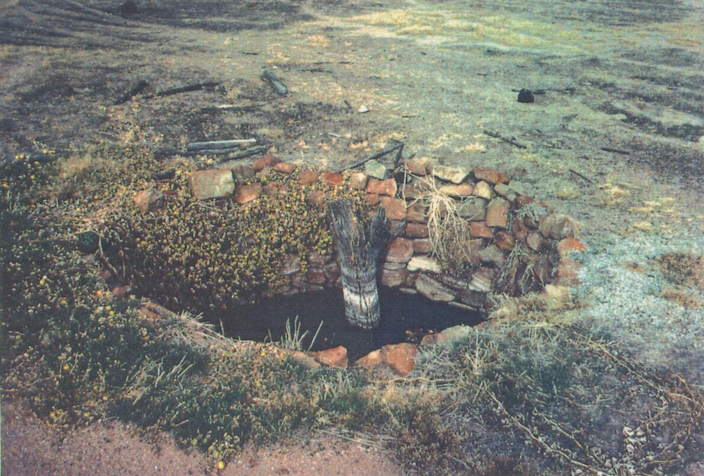 Metchering Well June 192. Photograph by Simon Keane.