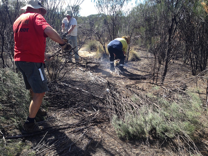 Scott worked the chainsaw and the others cleared away the debris.